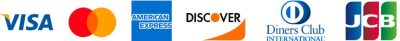 Pay with Credit Debit Card 1024x104 1 - Sex And The City Store